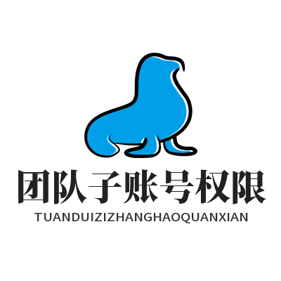 快联VPN团队子账号权限