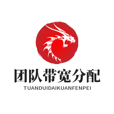 快联VPN 团队带宽分配